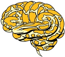 small mindboggle logo